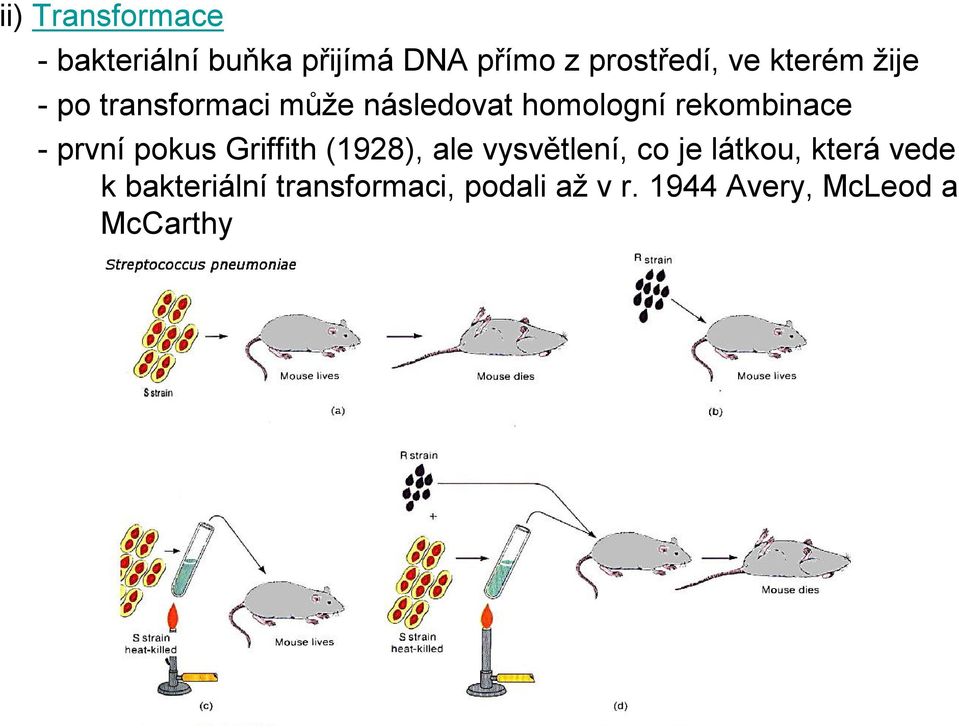 -první pokus Griffith (1928), ale vysvětlení, co je látkou, která