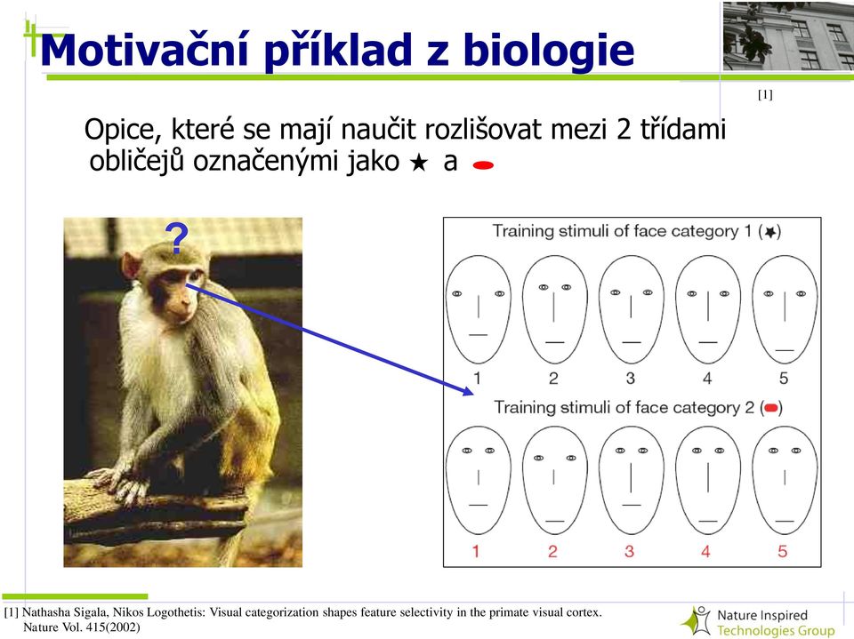 Logothetis, Nikos Logothetis: 2002: Visual Visual categorization categorization shapes