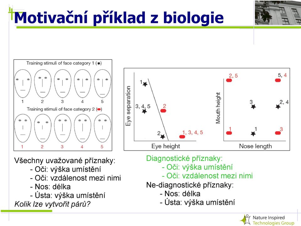 Kolik lze vytvořit párů?