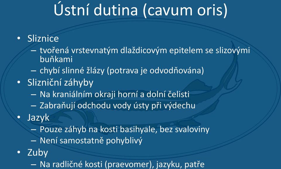 horní a dolní čelisti Zabraňují odchodu vody ústy při výdechu Jazyk Pouze záhyb na kosti