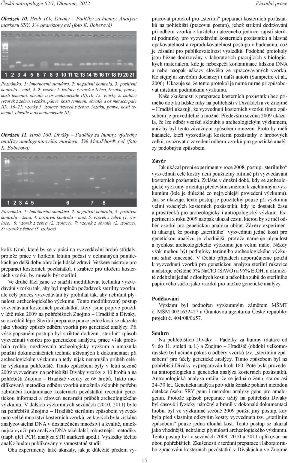 izolace (vzorek z žebra, řezáku, pánve, kosti temenní, obratle a os metacarpale III),10 15: vzorky 2.