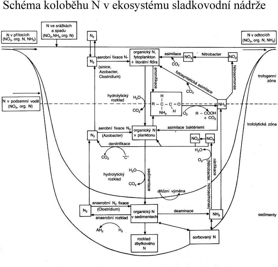 ekosystému