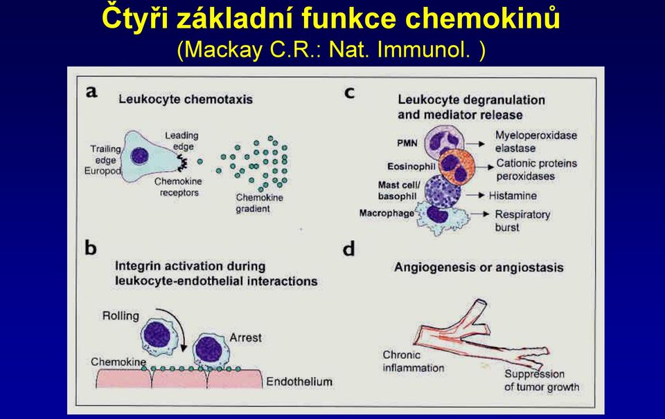 chemokinů