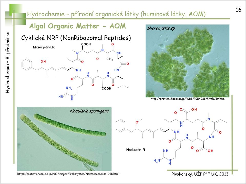 http://protist.i.hosei.ac.jp/pdb3/pcd4088/htmls/29.