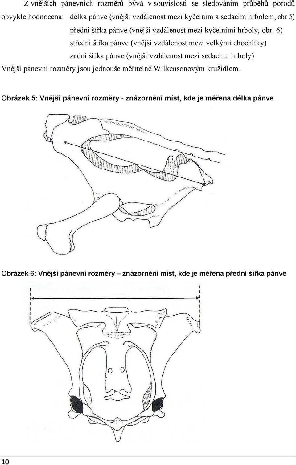 6) střední šířka pánve (vnější vzdálenost mezi velkými chochlíky) zadní šířka pánve (vnější vzdálenost mezi sedacími hrboly) Vnější pánevní rozměry