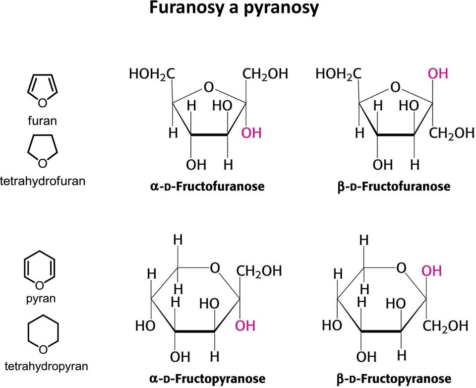 pyrnosy