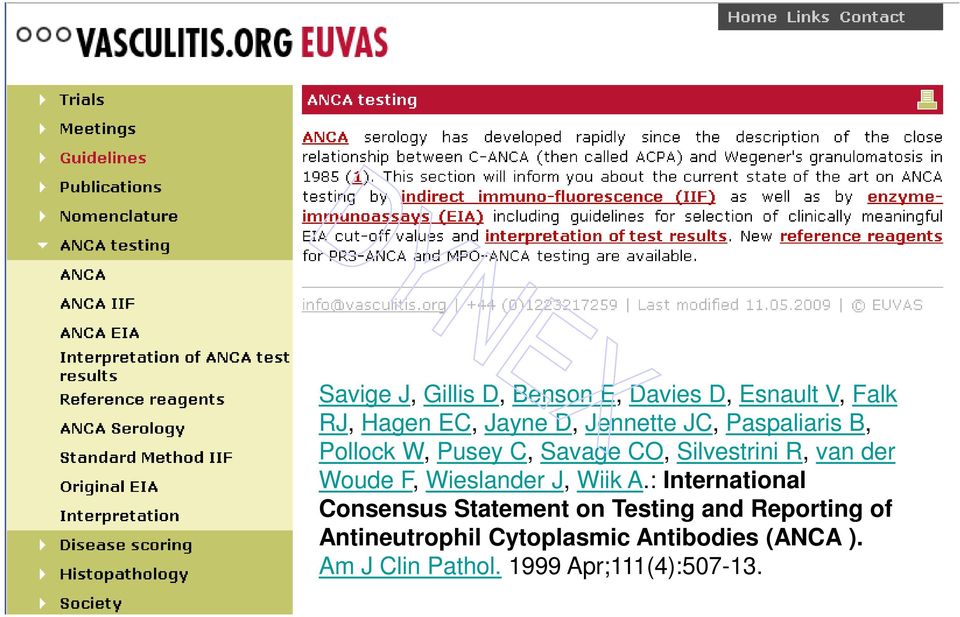 Addendum D, Jennette to International JC, Paspaliaris B, Consensus Pollock W, Pusey Statement C, Savage on testing CO, and Silvestrini reporting R, of van der antineutrophil