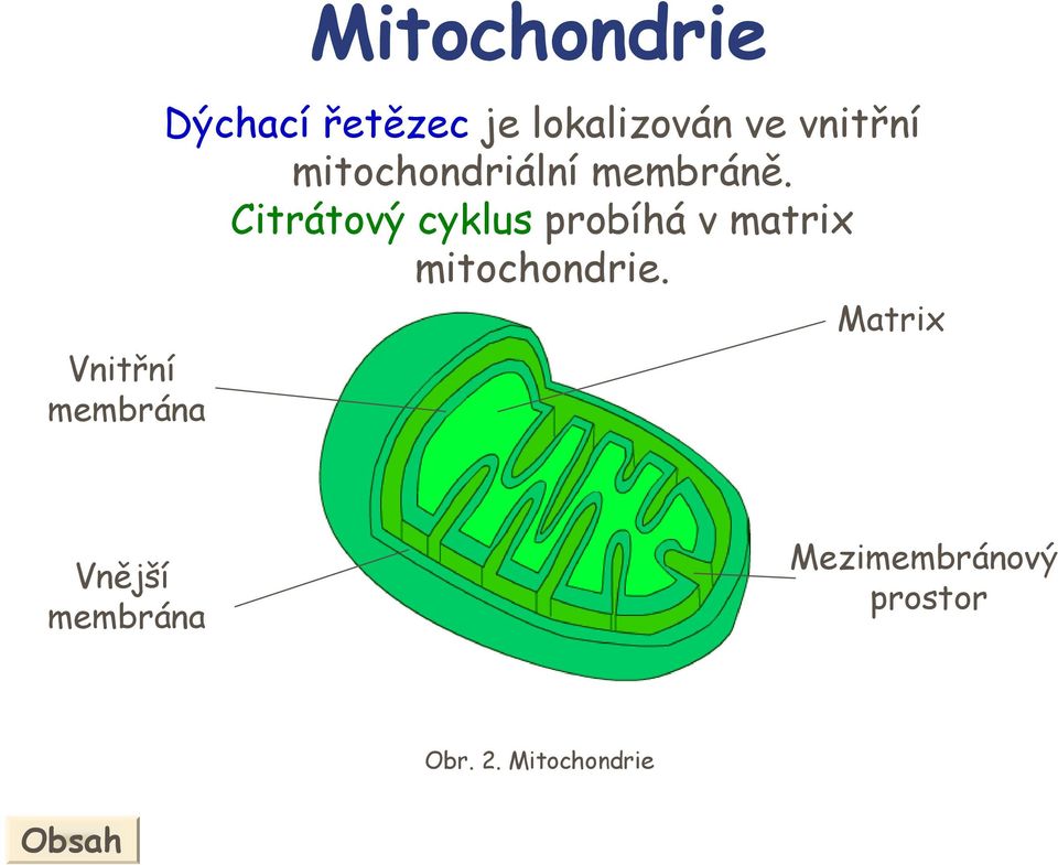 Citrátový cyklus probíhá v matrix mitochondrie.
