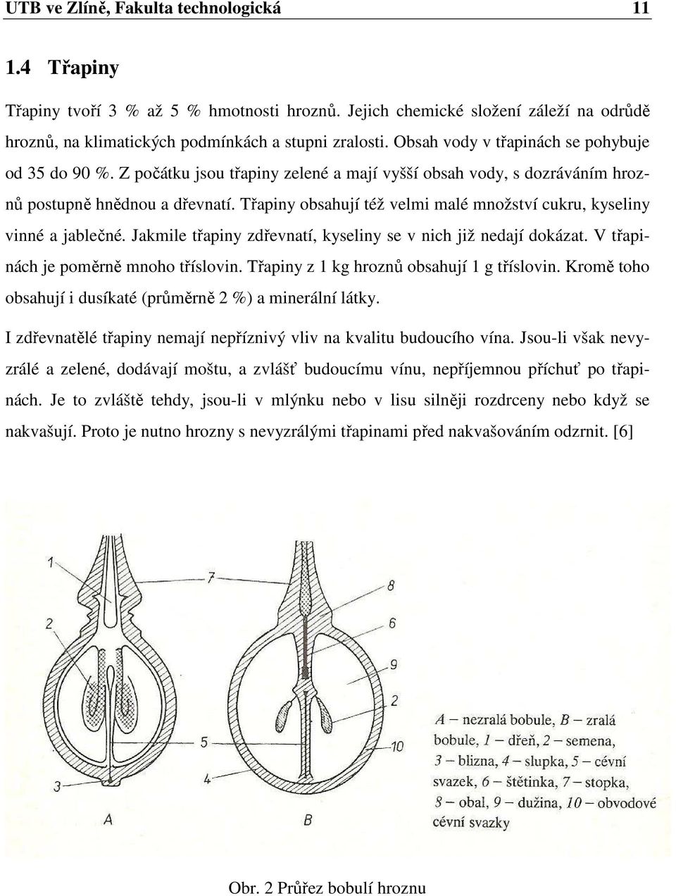 Třapiny obsahují též velmi malé množství cukru, kyseliny vinné a jablečné. Jakmile třapiny zdřevnatí, kyseliny se v nich již nedají dokázat. V třapinách je poměrně mnoho tříslovin.