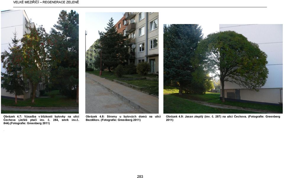 8: Stromy u bytových domů na ulici Bezděkov. (Fotografie: Greenberg 2011).