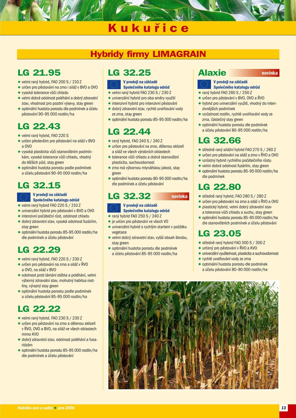 green optimální hustota porostu dle podmínek a účelu pěstování rostlin/ha LG 22.