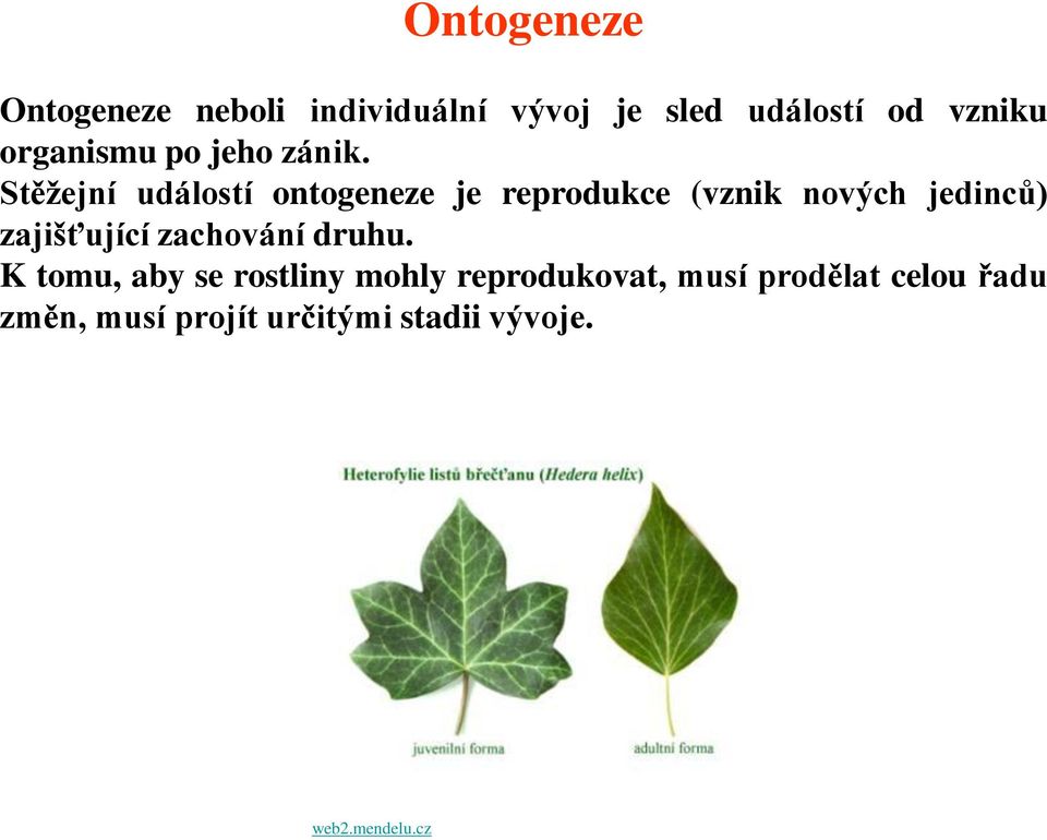 Stěžejní událostí ontogeneze je reprodukce (vznik nových jedinců) zajišťující