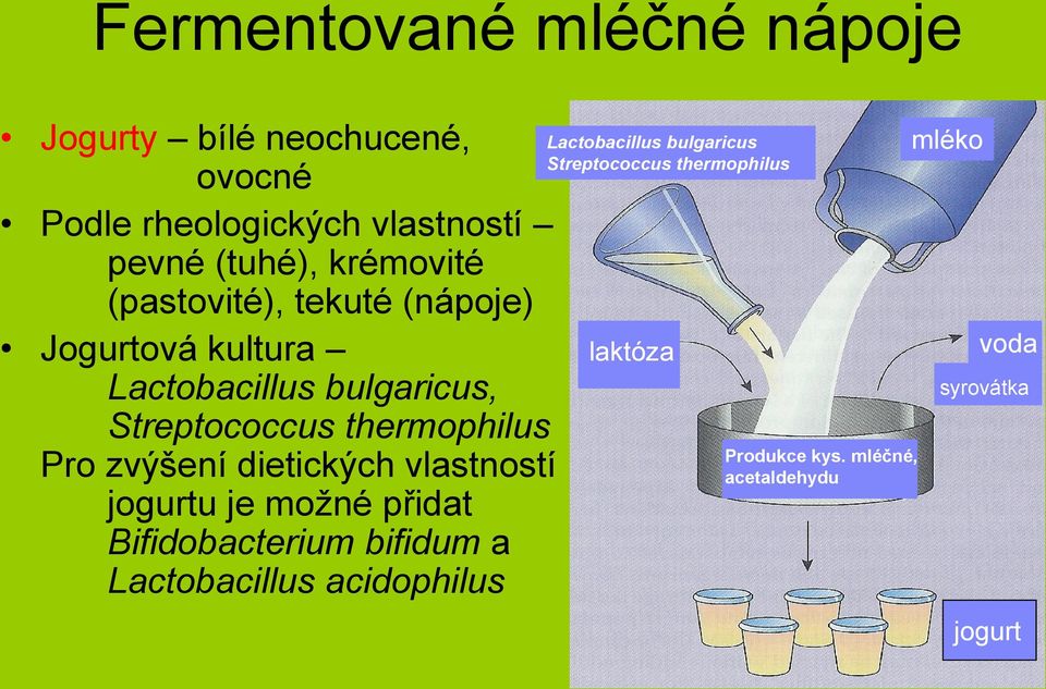 Pro zvýšení dietických vlastností jogurtu je možné přidat Bifidobacterium bifidum a Lactobacillus acidophilus