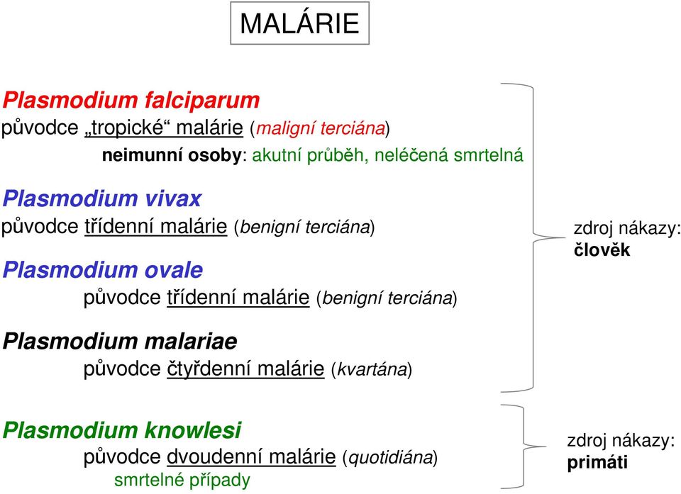 třídenní malárie (benigní terciána) zdroj nákazy: člověk Plasmodium malariae původce čtyřdenní malárie