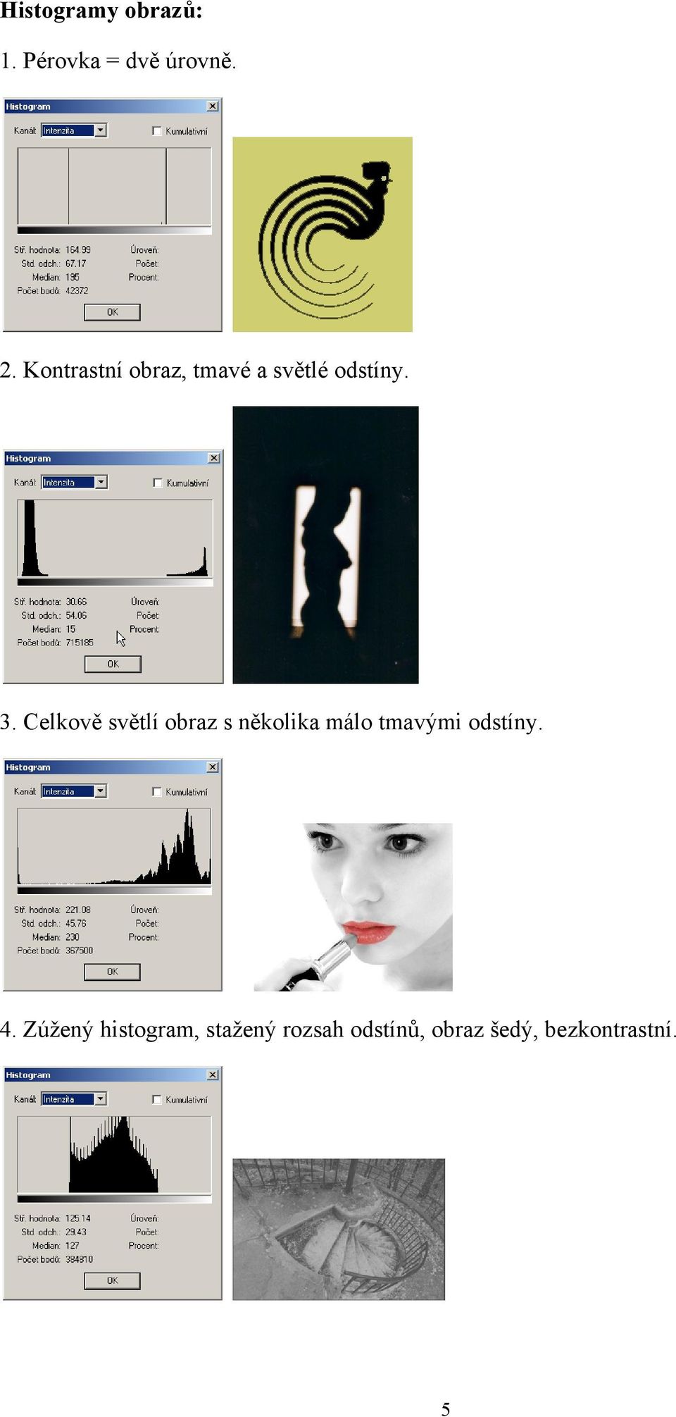 Celkově světlí obraz s několika málo tmavými odstíny.