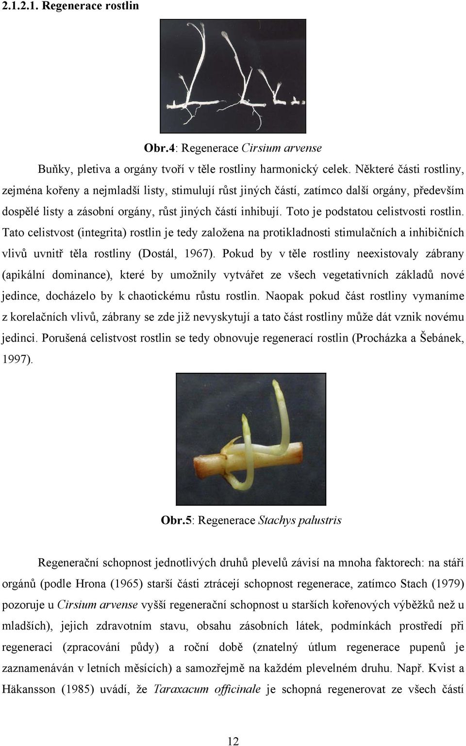 Toto je podstatou celistvosti rostlin. Tato celistvost (integrita) rostlin je tedy založena na protikladnosti stimulačních a inhibičních vlivů uvnitř těla rostliny (Dostál, 1967).