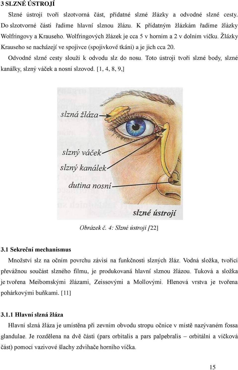 Odvodné slzné cesty slouţí k odvodu slz do nosu. Toto ústrojí tvoří slzné body, slzné kanálky, slzný váček a nosní slzovod. [1, 4, 8, 9,] Obrázek č. 4: Slzné ústrojí [22] 3.