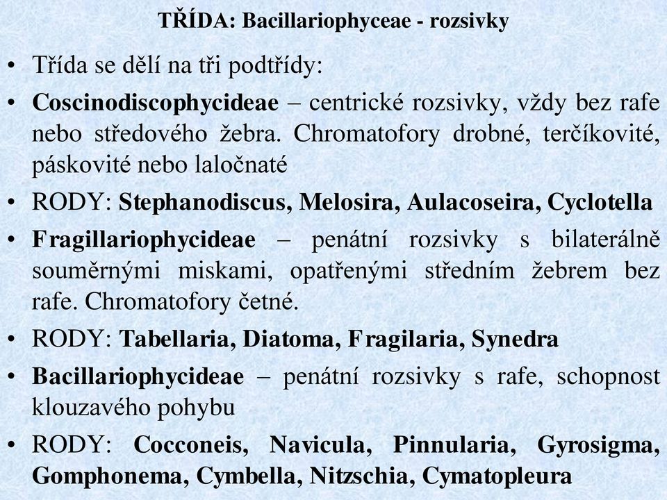 rozsivky s bilaterálně souměrnými miskami, opatřenými středním žebrem bez rafe. Chromatofory četné.