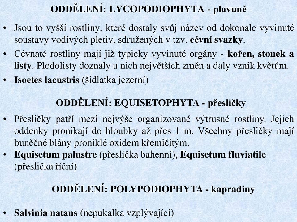 Isoetes lacustris (šídlatka jezerní) ODDĚLENÍ: EQUISETOPHYTA - přesličky Přesličky patří mezi nejvýše organizované výtrusné rostliny.