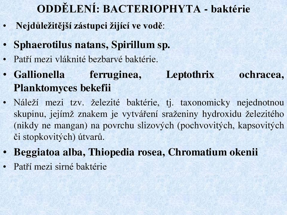 železité baktérie, tj.