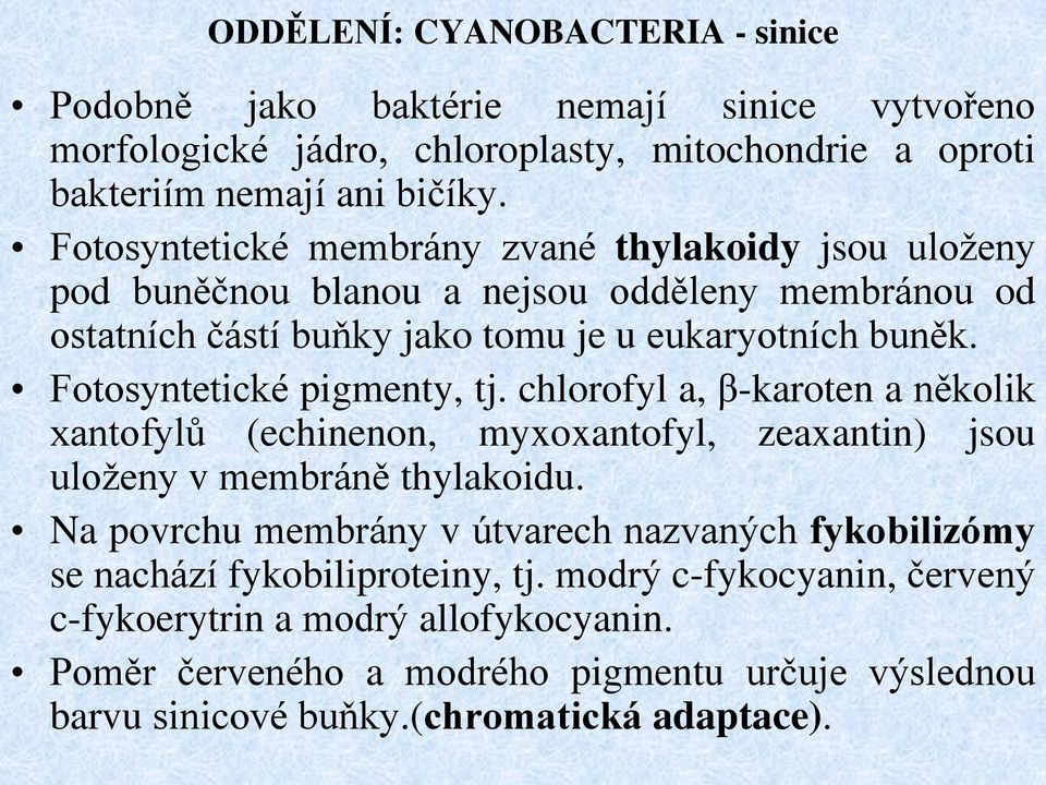 Fotosyntetické pigmenty, tj. chlorofyl a, β-karoten a několik xantofylů (echinenon, myxoxantofyl, zeaxantin) jsou uloženy v membráně thylakoidu.