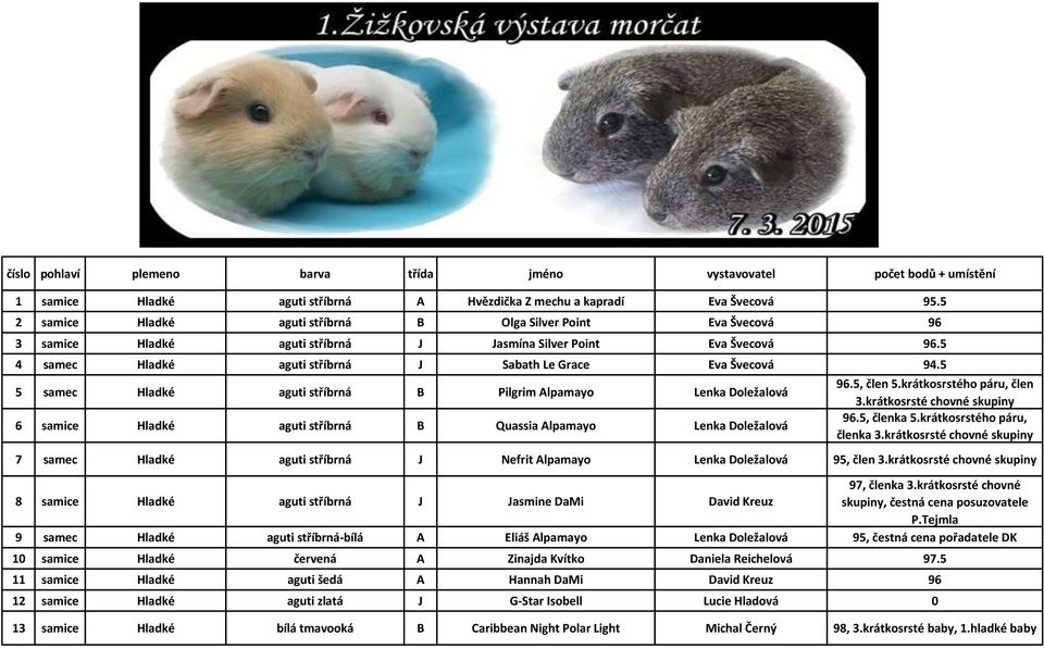 5 4 samec Hladké aguti stříbrná J Sabath Le Grace Eva Švecová 94.