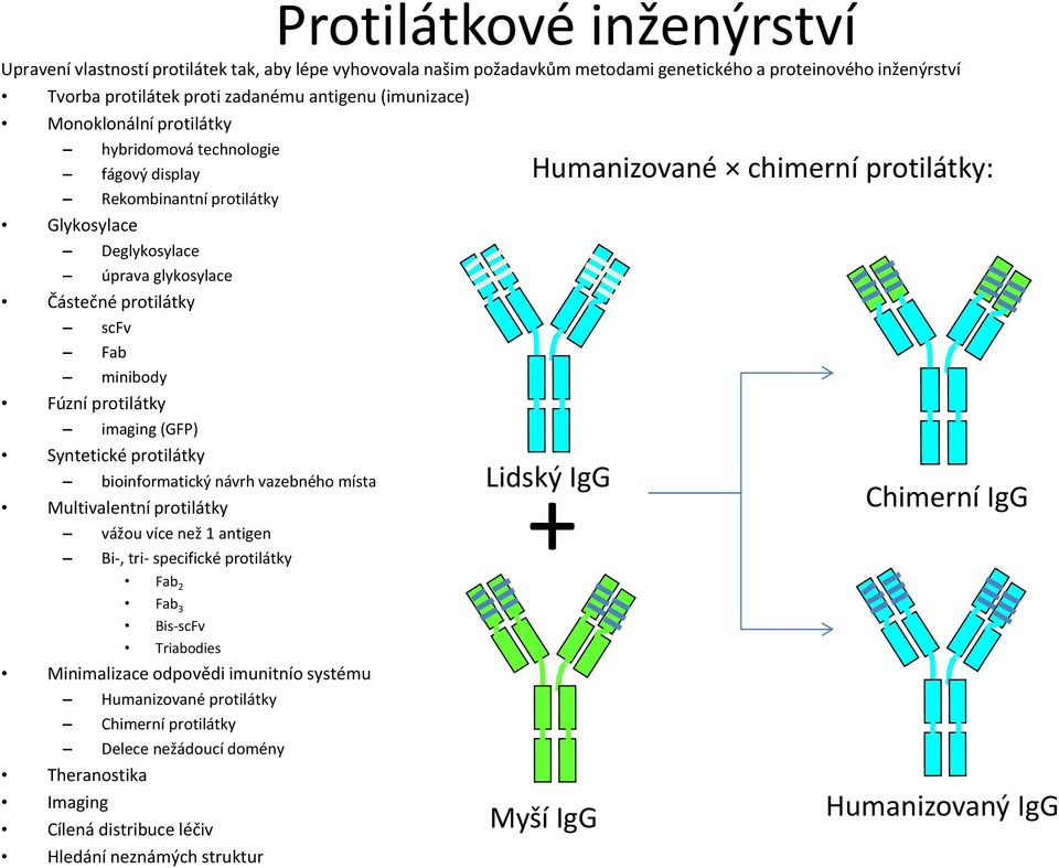 (GFP) Syntetické protilátky bioinformatický návrh vazebného místa Multivalentní protilátky vážou více než 1 antigen Bi-, tri- specifické protilátky Fab 2 Fab 3 Bis-scFv Triabodies Minimalizace