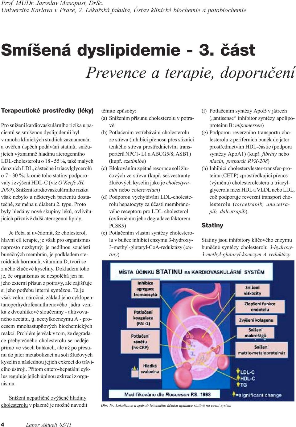 podávání statinù, snižujících významnì hladinu aterogenního LDL-cholesterolu o 18-55 %, také malých denzních LDL, èásteènì i triacylglycerolù o 7-30 %; kromì toho statiny podporovaly i zvýšení HDL-C