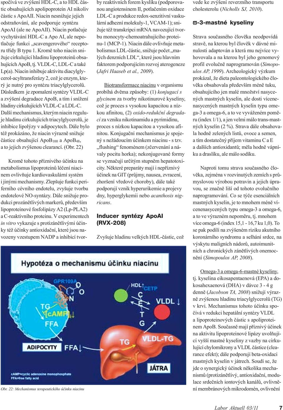 VLDL-C, LDL-C a také Lp(a). Niacin inhibuje aktivitu diacylglycerol-acyltransferázy 2, což je enzym, který je nutný pro syntézu triacylglycerolù.