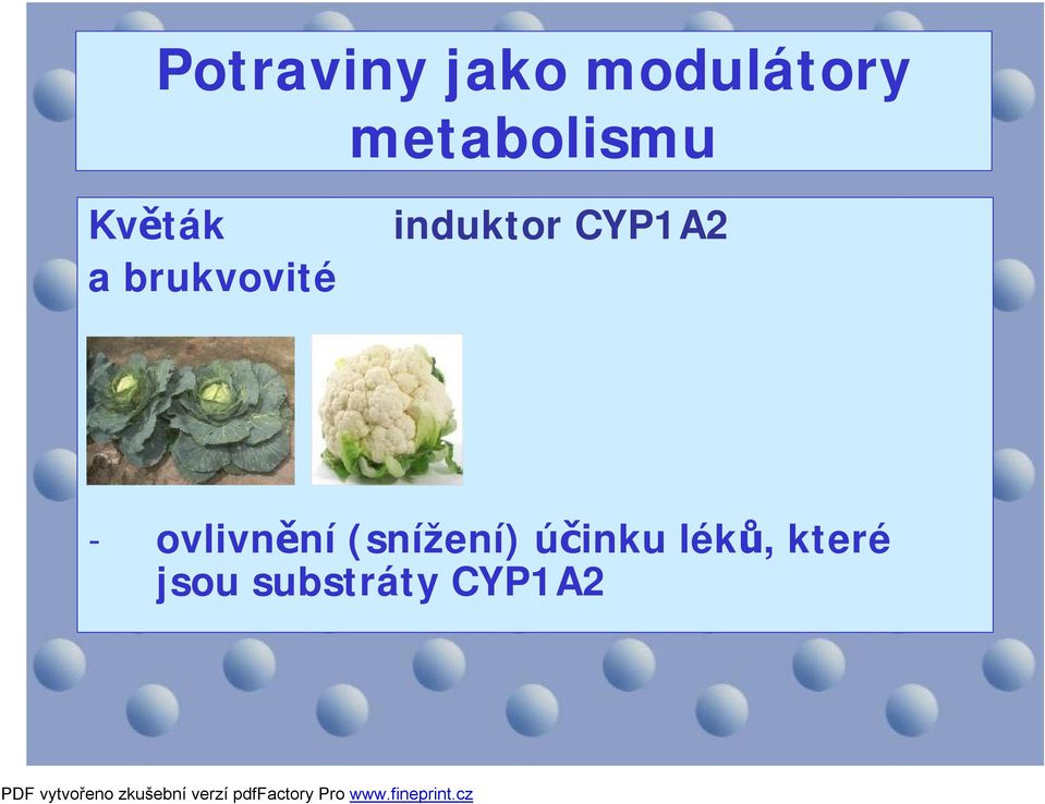 induktor CYP1A2 - ovlivnění