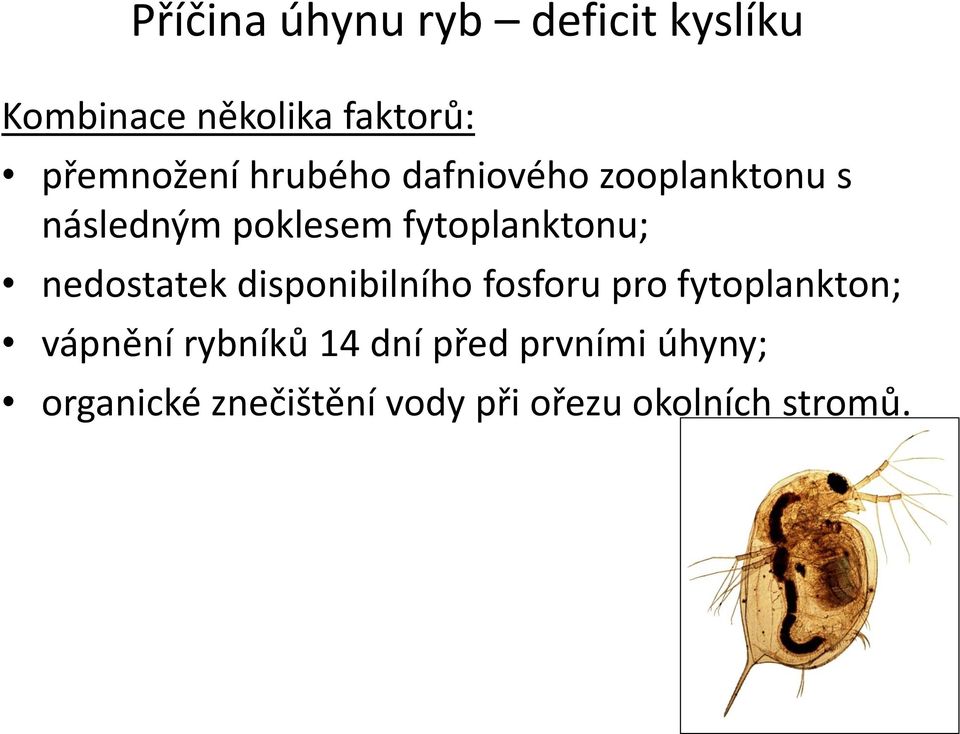 fytoplanktonu; nedostatek disponibilního fosforu pro fytoplankton;