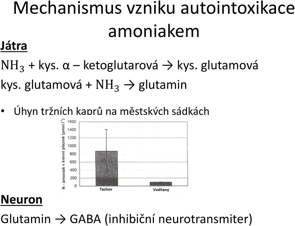 glutamová + NH 3 glutamin Úhyn tržních kaprů na