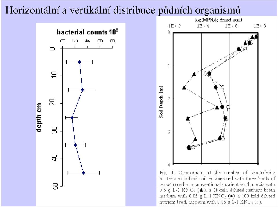 distriuce