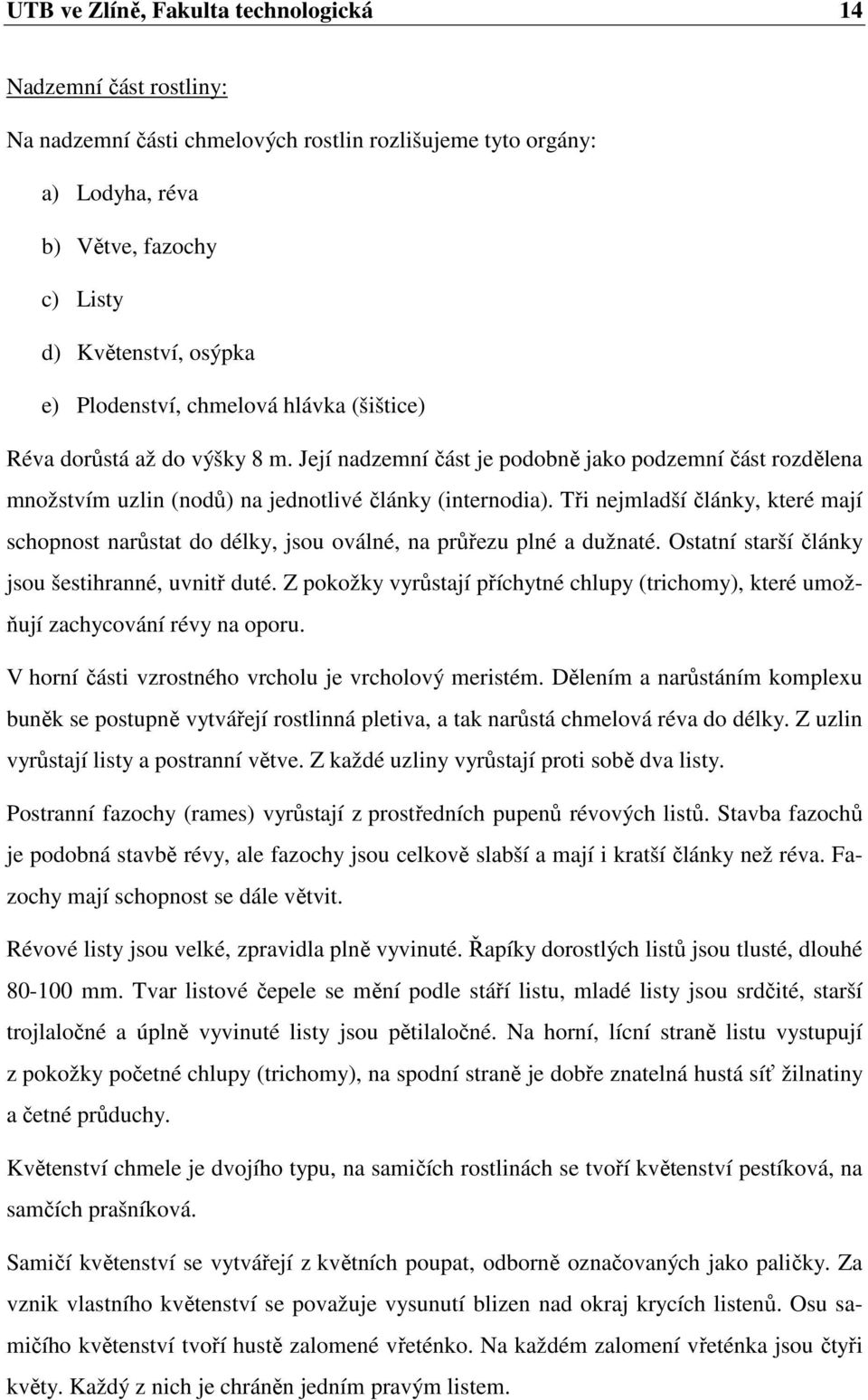 Tři nejmladší články, které mají schopnost narůstat do délky, jsou oválné, na průřezu plné a dužnaté. Ostatní starší články jsou šestihranné, uvnitř duté.