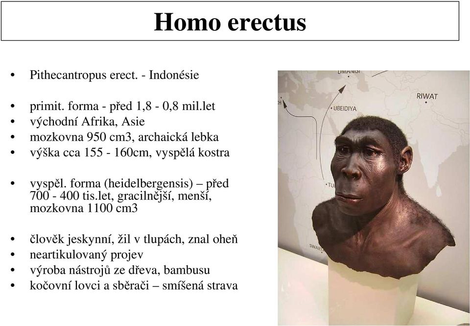 vyspěl. forma (heidelbergensis) před 700-400 tis.
