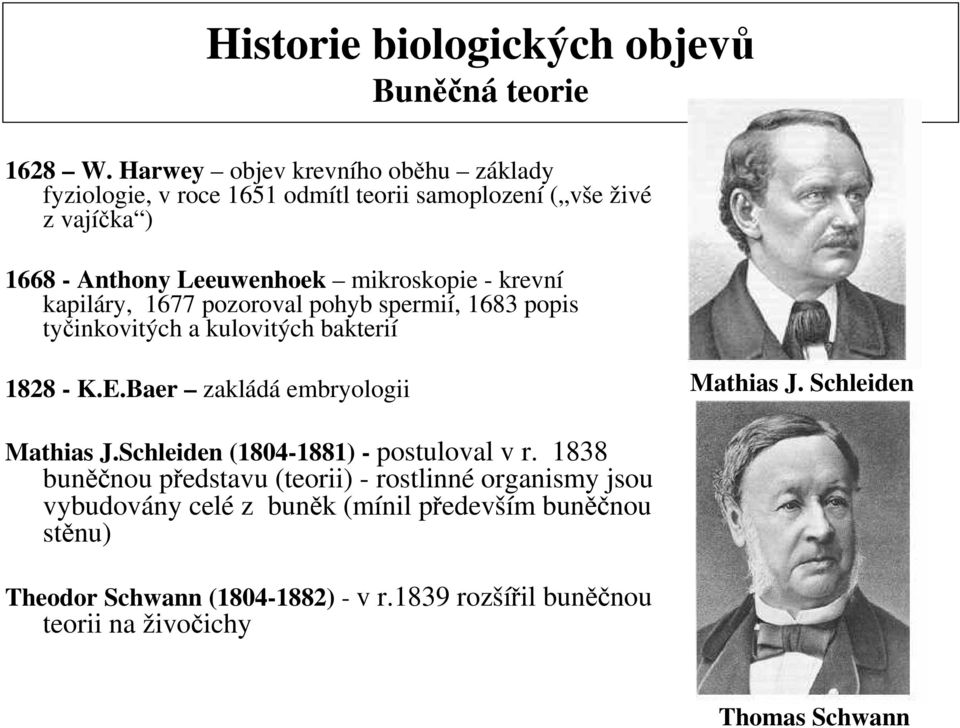 krevní kapiláry, 1677 pozoroval pohyb spermií, 1683 popis tyčinkovitých a kulovitých bakterií 1828 - K.E.Baer zakládá embryologii Mathias J.