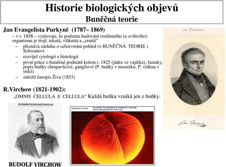 celistvostní pohled (= BUNĚČNÁ TEORIE ) Schwanovi rozvíjel cytologii a histologii první práce o buněčné podstatě kolem r.