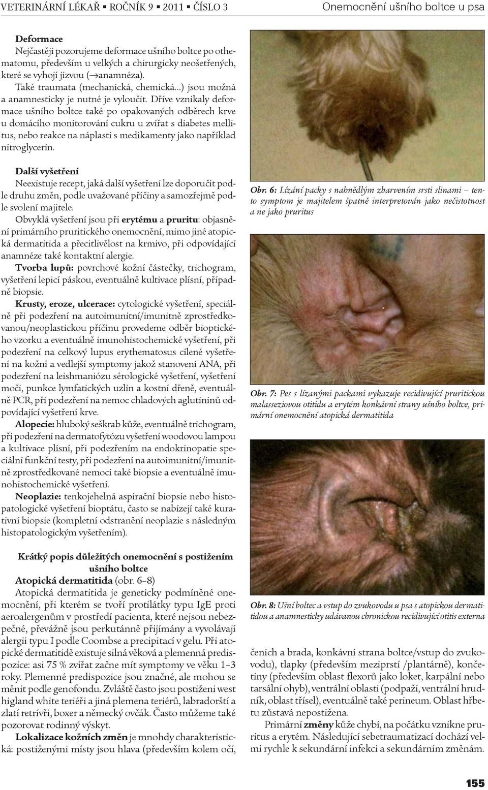 Døíve vznikaly deformace ušního boltce také po opakovaných odbìrech krve u domácího monitorování cukru u zvíøat s diabetes mellitus, nebo reakce na náplasti s medikamenty jako napøíklad nitroglycerin.