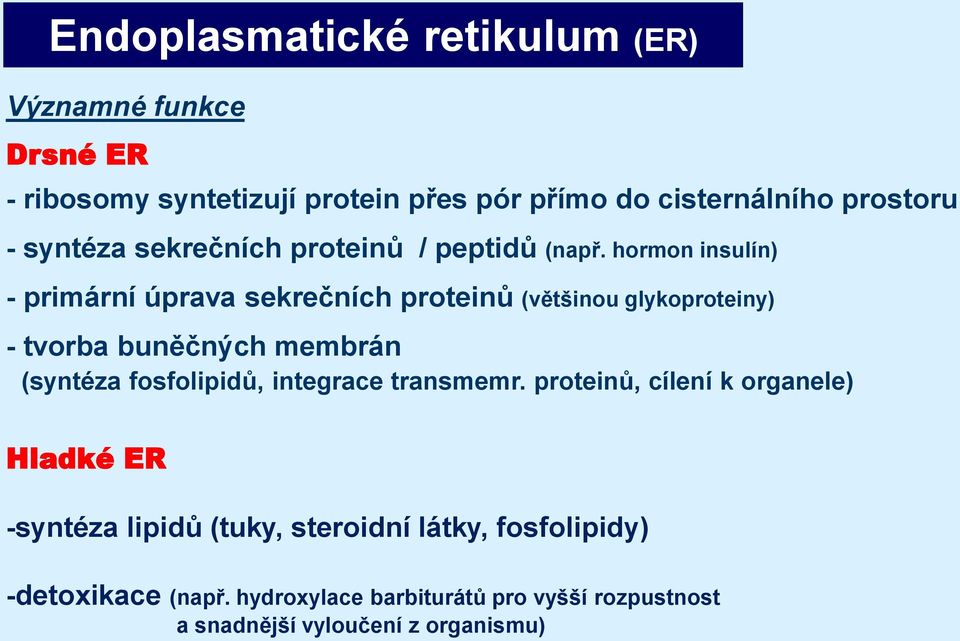 hormon insulín) - primární úprava sekrečních proteinů (většinou glykoproteiny) - tvorba buněčných membrán (syntéza fosfolipidů,