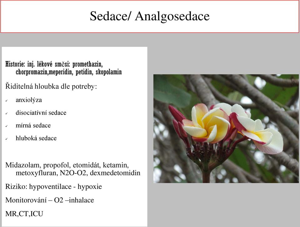 hloubka dle potreby: anxiolýza disociatívní sedace mírná sedace hluboká sedace