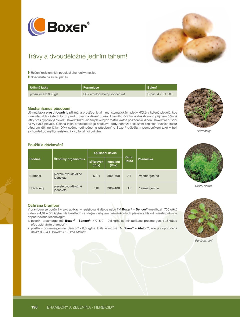 Účinná látka prosulfocarb je přijímána prostřednictvím meristematických pletiv klíčků a kořenů plevelů, kde v nejmladších částech brzdí prodlužování a dělení buněk.