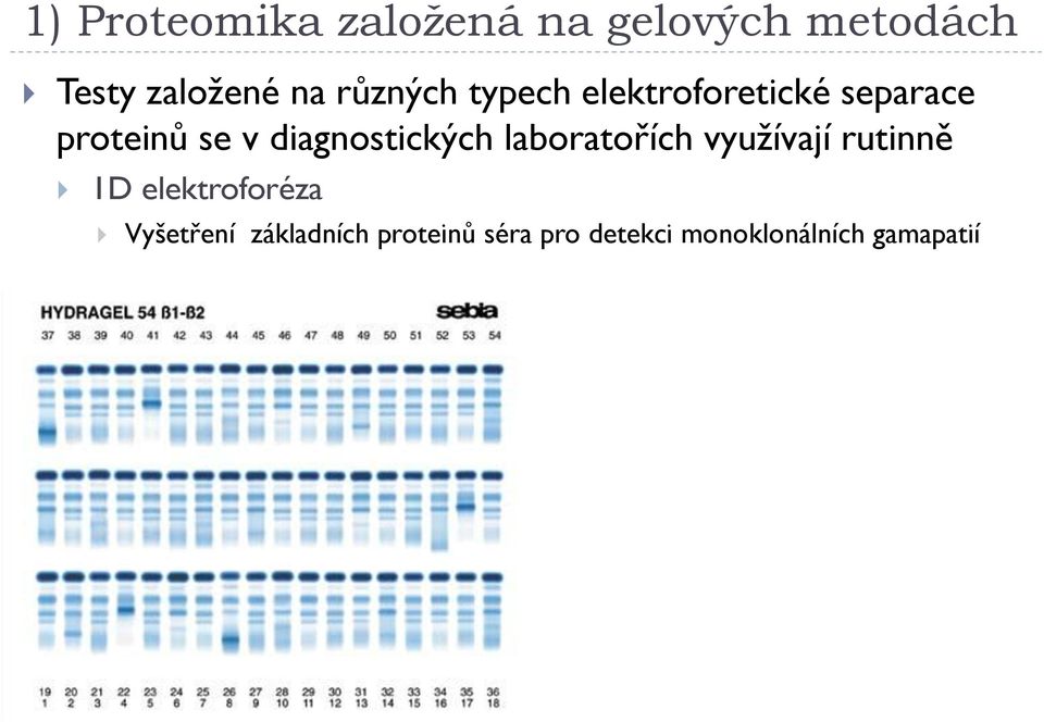 diagnostických laboratořích využívají rutinně 1D elektroforéza