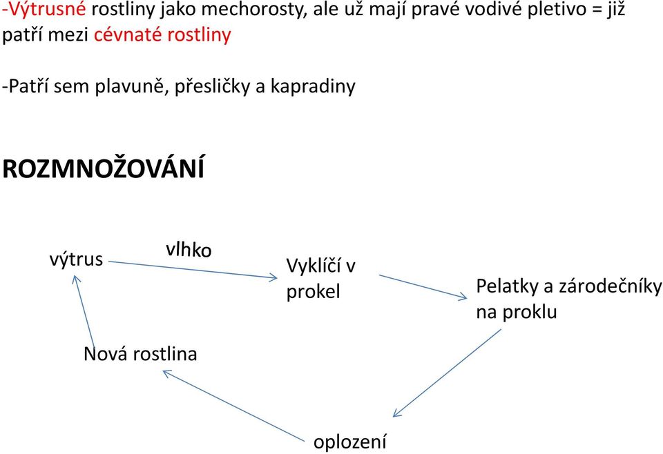 sem plavuně, přesličky a kapradiny ROZMNOŽOVÁNÍ výtrus