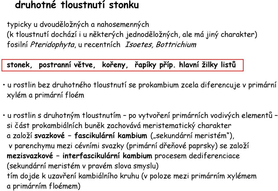 hlavní žilky listů u rostlin bez druhotného tloustnutí se prokambium zcela diferencuje v primární xylém a primární floém u rostlin s druhotným tloustnutím po vytvoření primárních vodivých elementů si