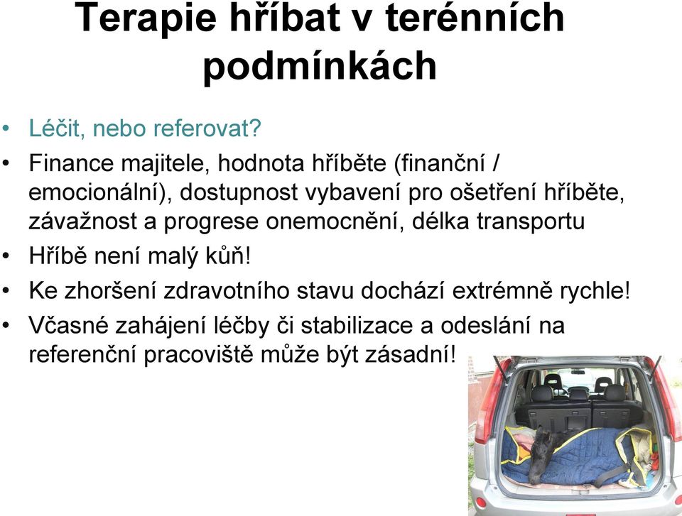 ošetření hříběte, závažnost a progrese onemocnění, délka transportu Hříbě není malý kůň!