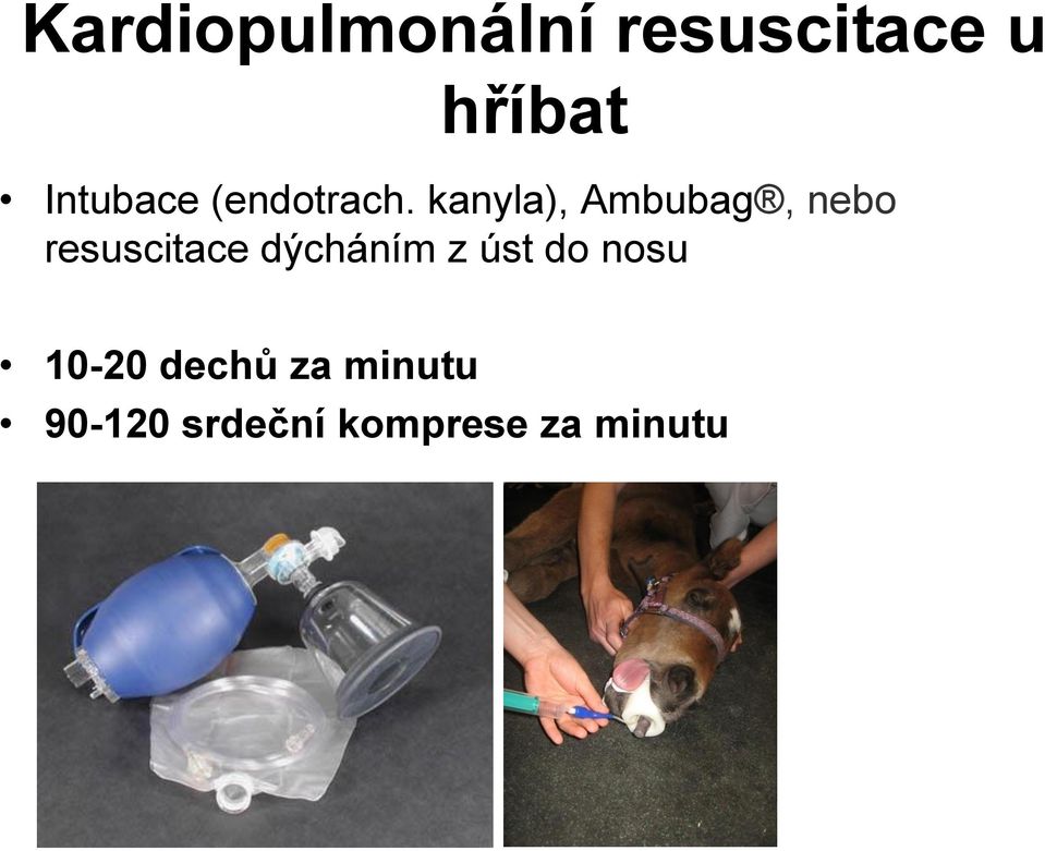 kanyla), Ambubag, nebo resuscitace