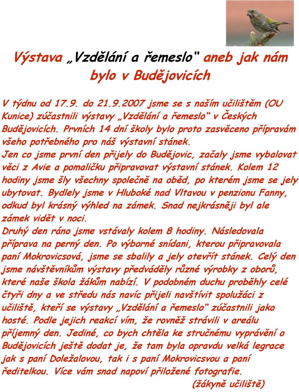 Jen co jsme první den přijely do Budějovic, začaly jsme vybalovat věci z Avie a pomaličku připravovat výstavní stánek.