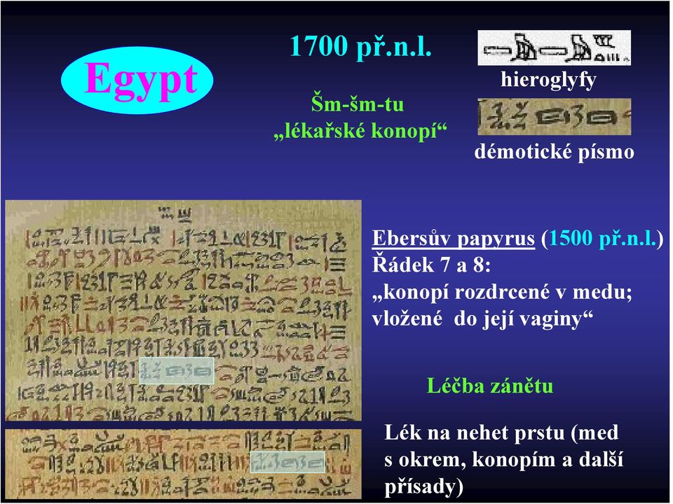 Ebersův papyrus (1500 př.n.l.