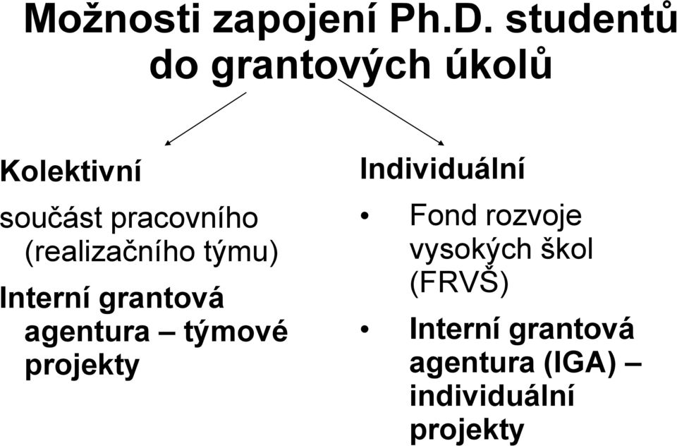 (realizačního týmu) Interní grantová agentura týmové projekty