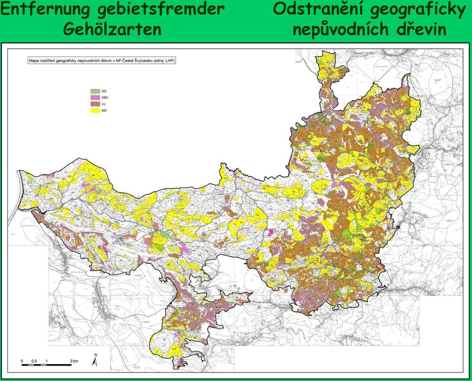 Lärche Netýkavka žláznatá Drüsiges Springkraut Geograficky nepůvodní druhy v NPČŠ a jejich zastoupení: Weymouthskiefer 2% Borovice vejmutovka Europäische Lärche 4% Modřín